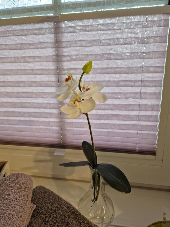 Appartement Gaestequartier Schlummerkasten